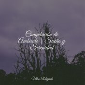 Compilación de Ambiente | Sueño y Serenidad