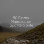 50 Piezas Maestras de Spa Relajante