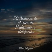 50 Sesiones de Música de Meditación y Relajación