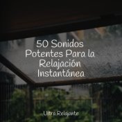 50 Sonidos Potentes Para la Relajación Instantánea