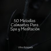 50 Melodías Calmantes Para Spa y Meditación