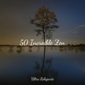 50 Increíble Zen