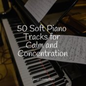 50 Soft Piano Tracks for Calm and Concentration