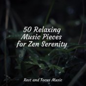 50 Relaxing Music Pieces for Zen Serenity