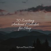 50 Exciting Ambient Melodies for Sleep