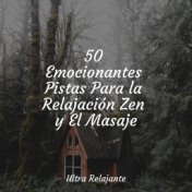 50 Emocionantes Pistas Para la Relajación Zen y El Masaje