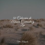 50 Colección de Música Calmada y Zen