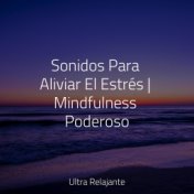 Sonidos Para Aliviar El Estrés | Mindfulness Poderoso