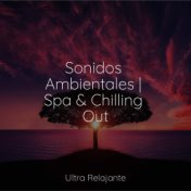 Sonidos Ambientales | Spa & Chilling Out