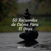 50 Recuerdos de Calma Para El Yoga
