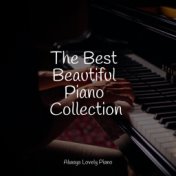 The Best Beautiful Piano Collection