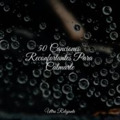 50 Canciones Reconfortantes Para Calmarte