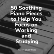 50 Soothing Piano Pieces to Help You Focus on Working and Studying