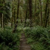 Ambient Sounds | Zen Spa & Serenity