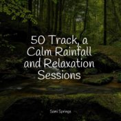 50 Track, a Calm Rainfall and Relaxation Sessions