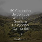 50 Colección de Sonidos Naturales - Sueño y Relajación Calmantes