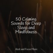 50 Calming Sounds for Deep Sleep and Mindfulness