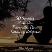 50 Sonidos Musicales Tranquilos Para Dormir y Relajarse