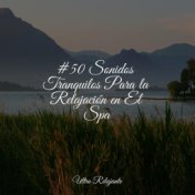 #50 Sonidos Tranquilos Para la Relajación en El Spa