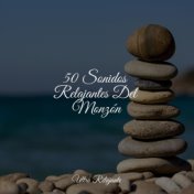 50 Sonidos Relajantes Del Monzón