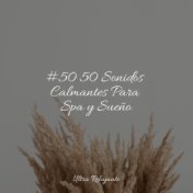 #50 50 Sonidos Calmantes Para Spa y Sueño