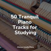50 Tranquil Piano Tracks for Studying