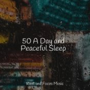 50 A Day and Peaceful Sleep