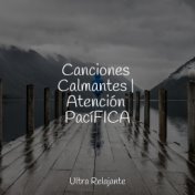 Canciones Calmantes | Atención PacíFICA