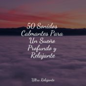 50 Sonidos Calmantes Para Un Sueño Profundo y Relajante