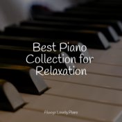Best Piano Collection for Relaxation