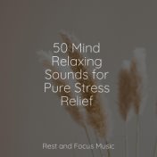 50 Mind Relaxing Sounds for Pure Stress Relief