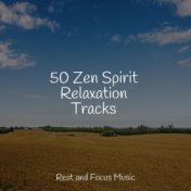 50 Zen Spirit Relaxation Tracks