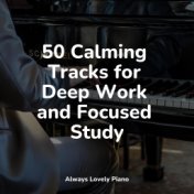 50 Calming Tracks for Deep Work and Focused Study