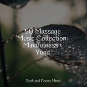 50 Massage Music Collection: Mindfulness & Yoga