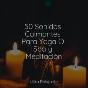 50 Sonidos Calmantes Para Yoga O Spa y Meditación