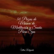 50 Piezas de Música de Meditación y Sueño Para Spa