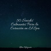 50 Sonidos Calmantes Para la Curación en El Spa