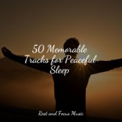 50 Memorable Tracks for Peaceful Sleep