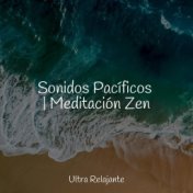 Sonidos Pacíficos | Meditación Zen