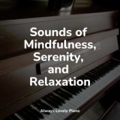 Sounds of Mindfulness, Serenity, and Relaxation