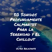 50 Sonidos Profundamente Calmantes Para la Serenidad y El Chillout