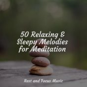 50 Relaxing & Sleepy Melodies for Meditation