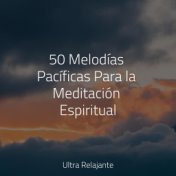 50 Melodías Pacíficas Para la Meditación Espiritual