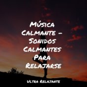 Música Calmante - Sonidos Calmantes Para Relajarse