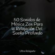 50 Sonidos de Música Zen Para la Relajación Del Sueño Profundo