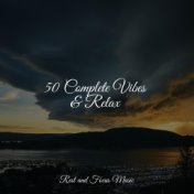 50 Complete Vibes & Relax