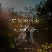 50 Sonidos de Yoga Asombrosos