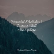 Peaceful Melodies | Instant Chill Atmosphere