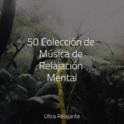 50 Colección de Música de Relajación Mental