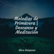 Melodías de Primavera | Descanso y Meditación